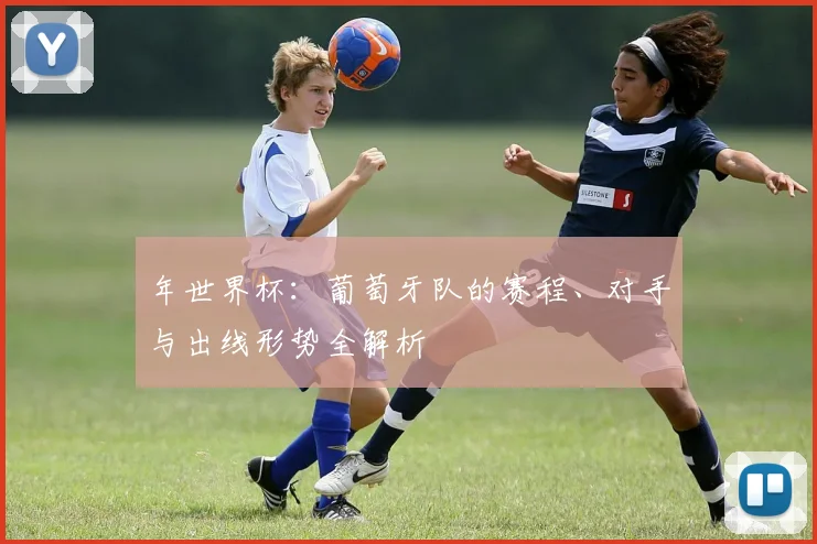 年世界杯:葡萄牙队的赛程、对手与出线形势全解析